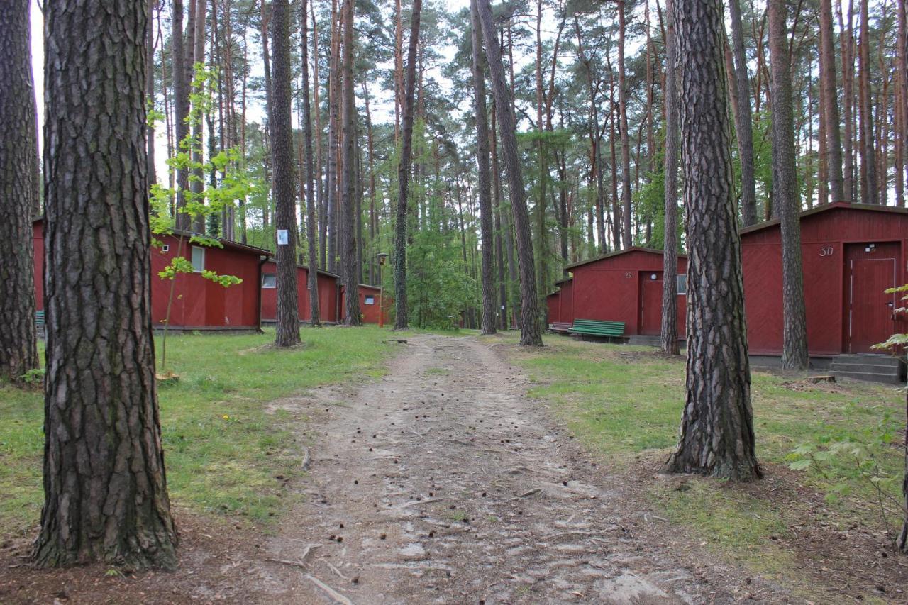 Archimedes Tourist Sp. Z O.O. Hotel Międzyrzecz Buitenkant foto