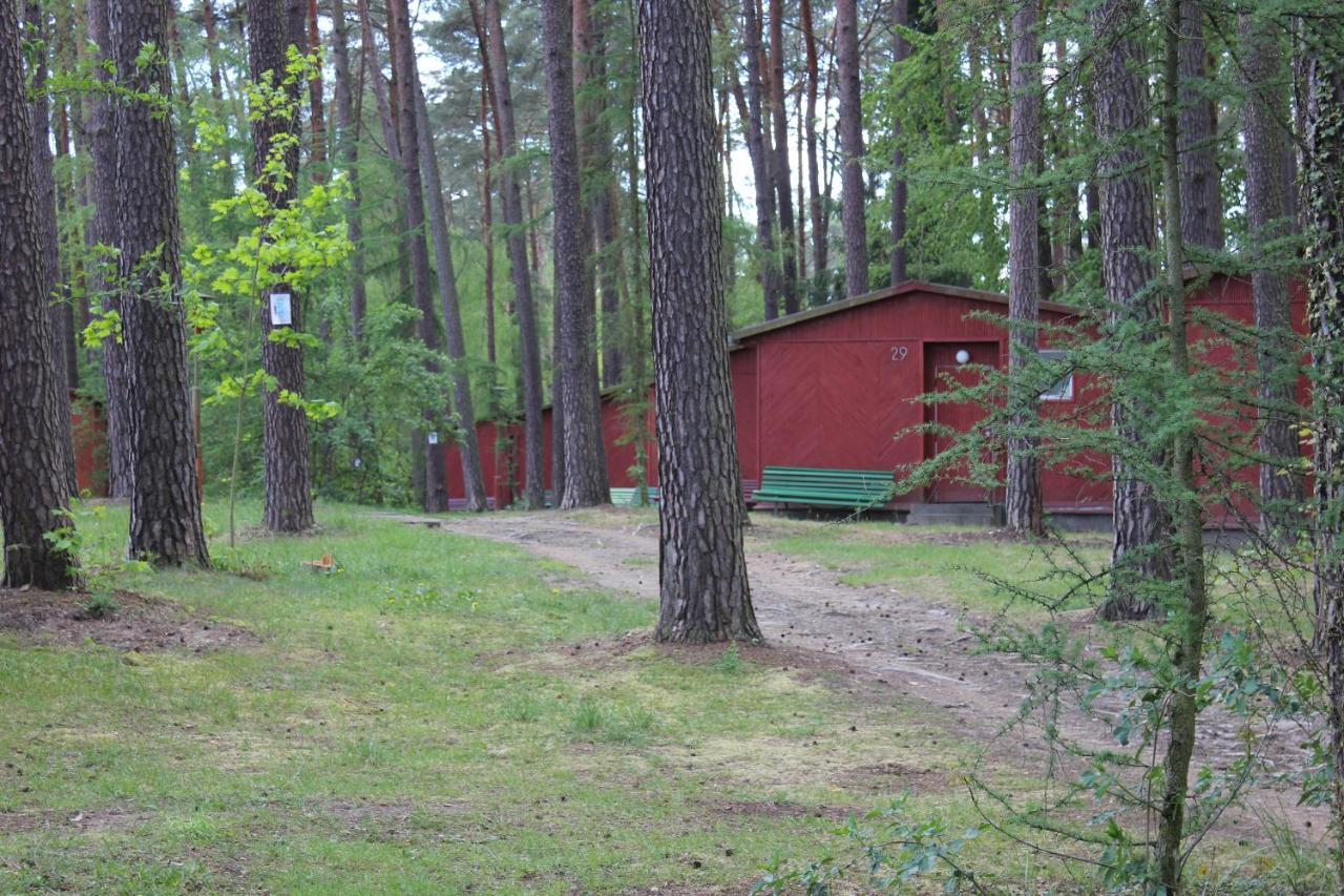 Archimedes Tourist Sp. Z O.O. Hotel Międzyrzecz Buitenkant foto